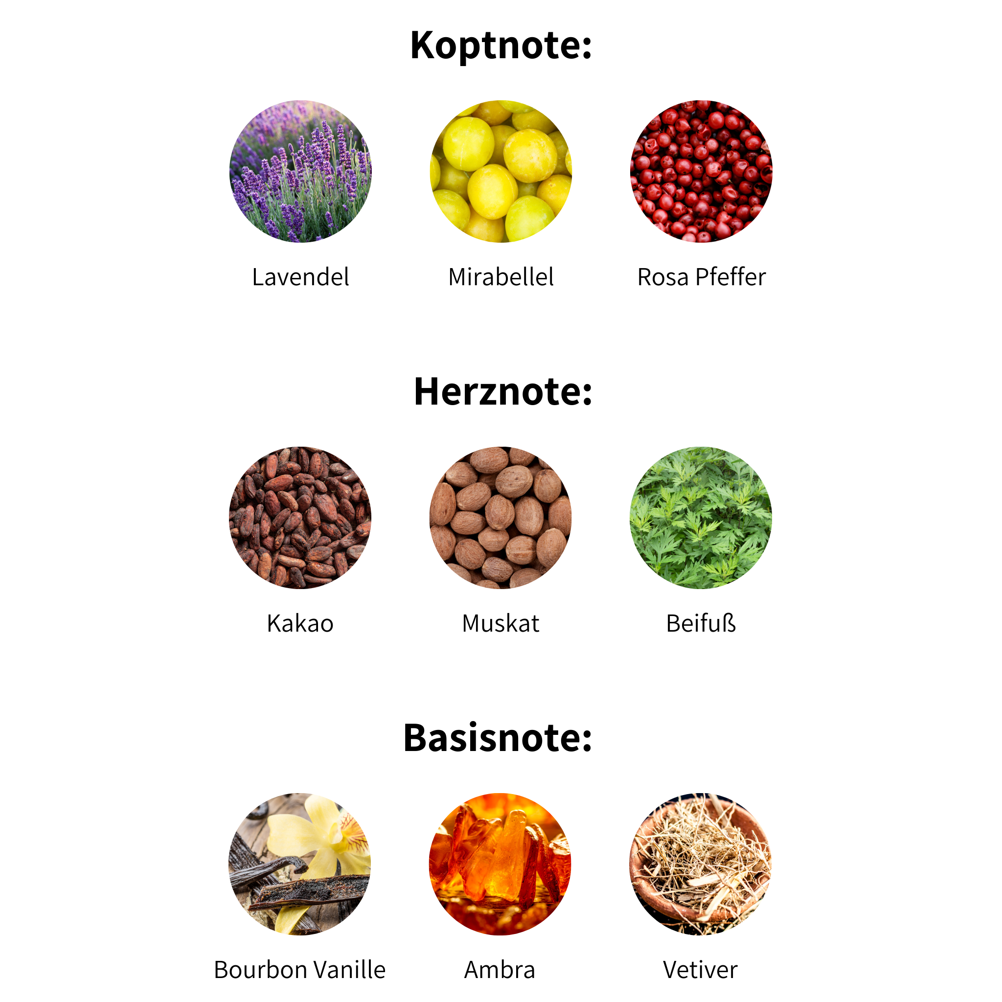 ingredients